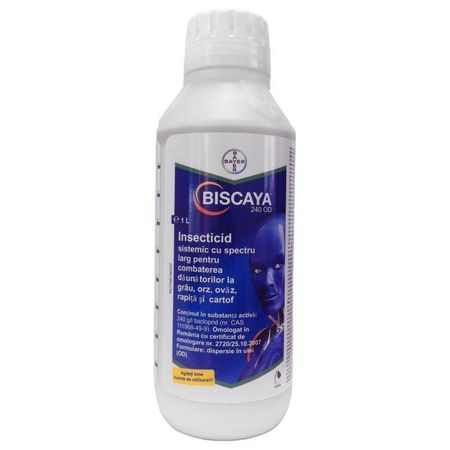BISCAYA 240 OD