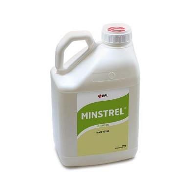 MINSTREL