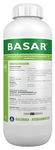 BASAR
